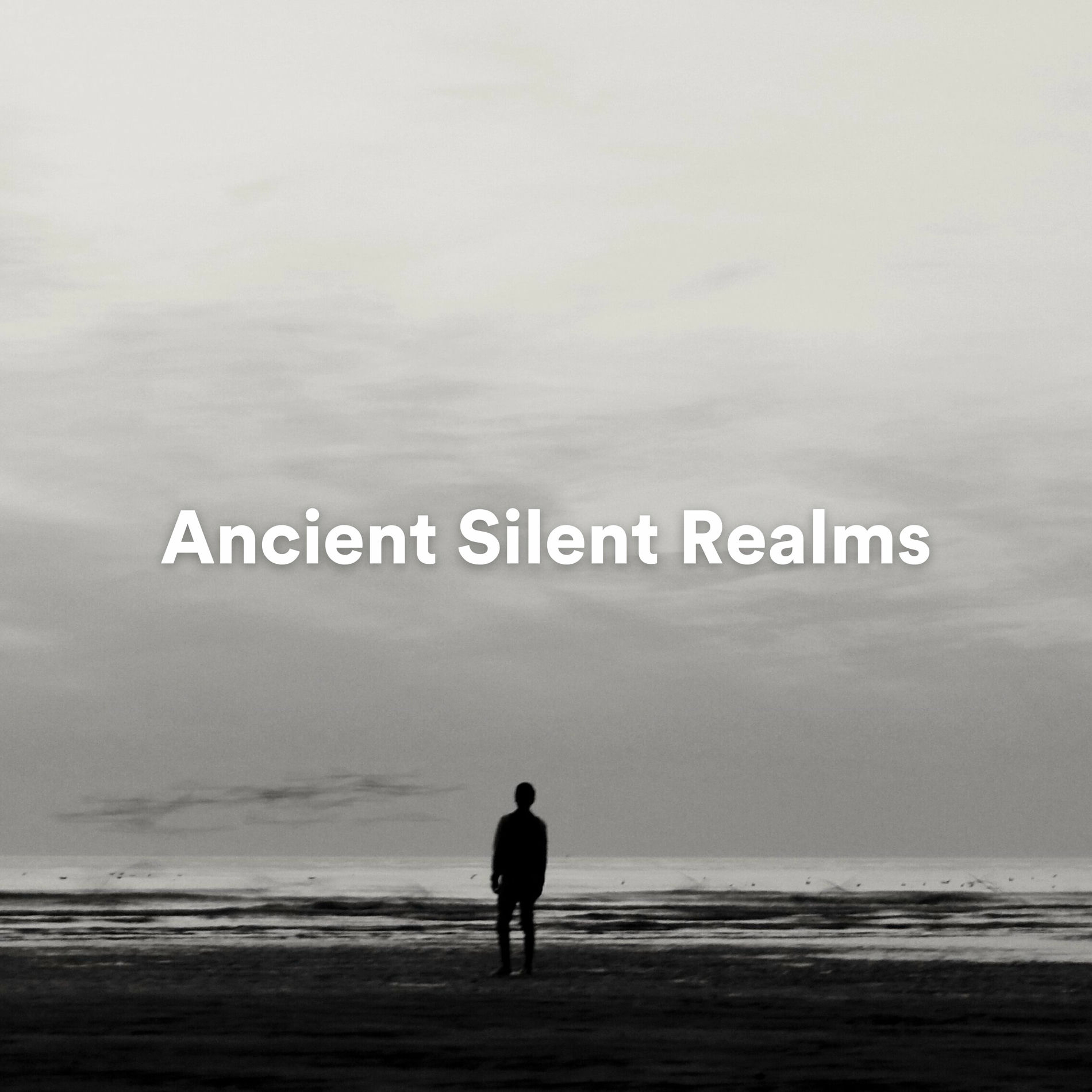 Album cover of Ancient Silent Realms