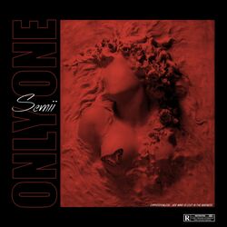 Cover of Only One