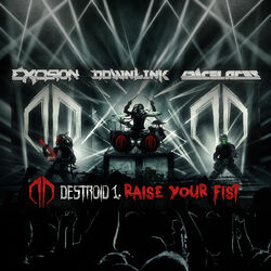 Cover of Raise Your Fist
