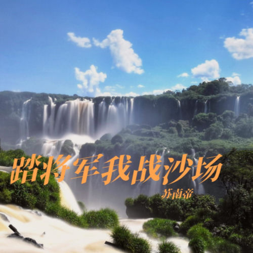 踏将军我战沙场