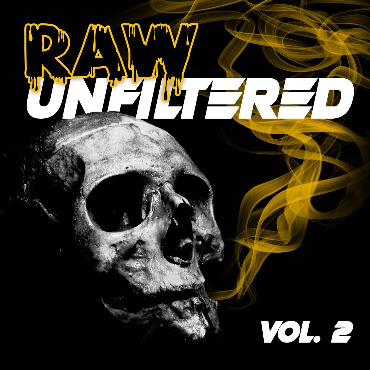 Album cover of Raw Unfiltered, Vol. 2