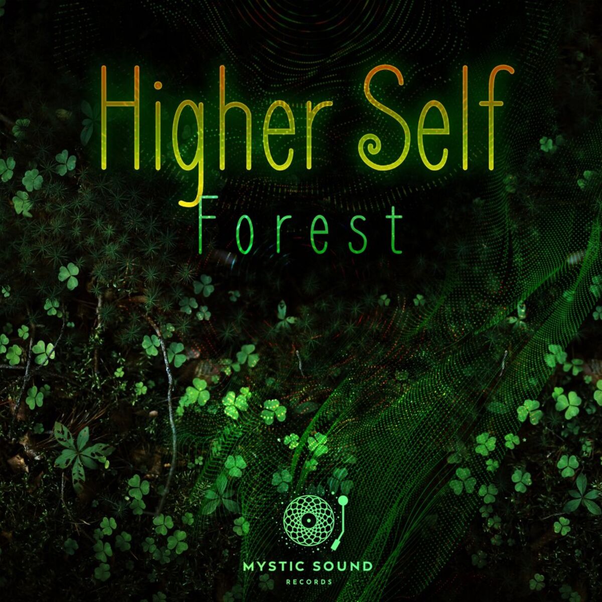 Album cover of Forest