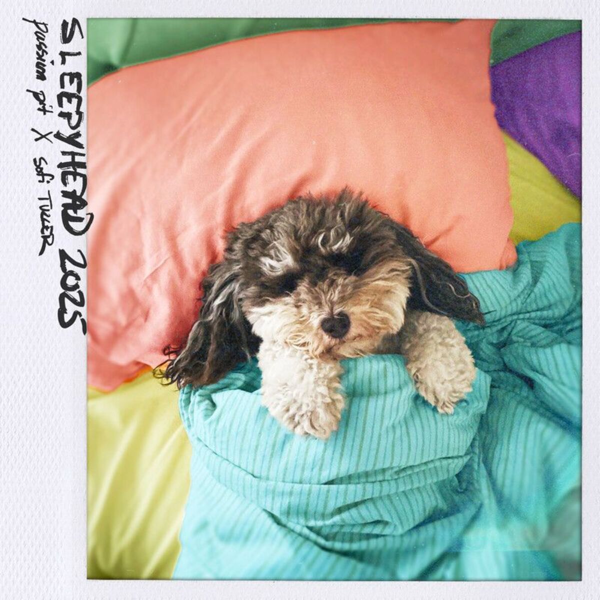 Album cover of Sleepyhead 2025