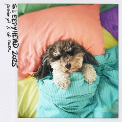 Cover of Sleepyhead 2025
