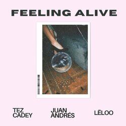 Cover of Feeling Alive