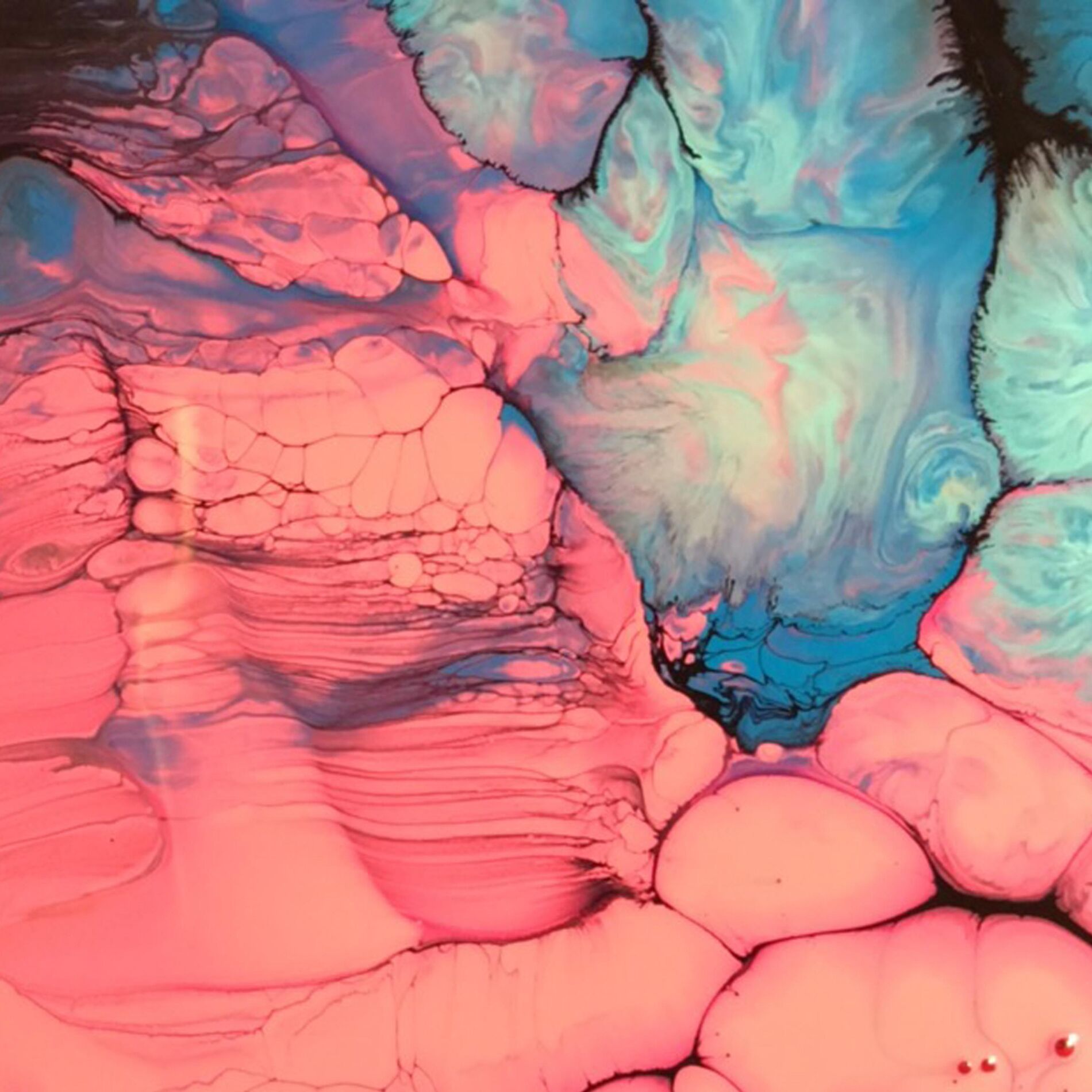 Album cover of Kin
