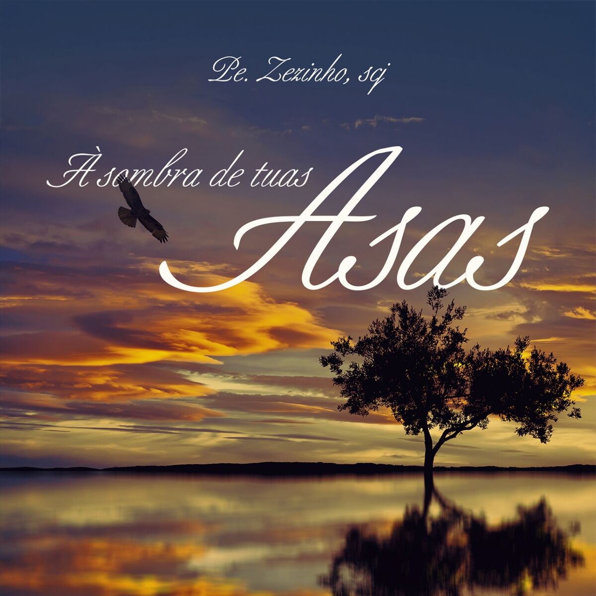 Album cover of À Sombra de Tuas Asas