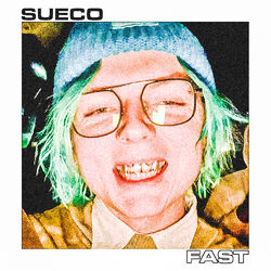 Cover of fast