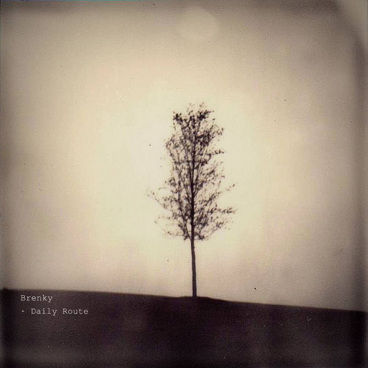 Album cover of For You