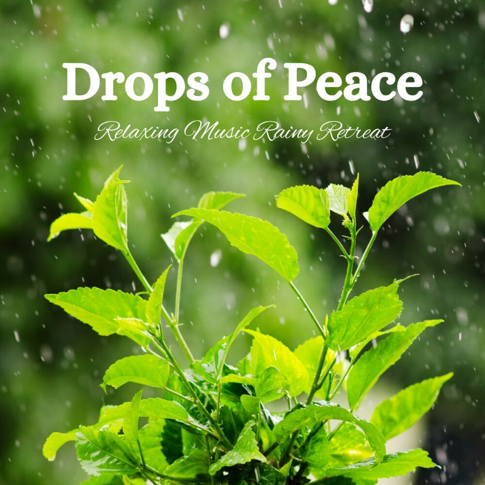 Picture of Drops of Peace: Relaxing Music Rainy Retreat