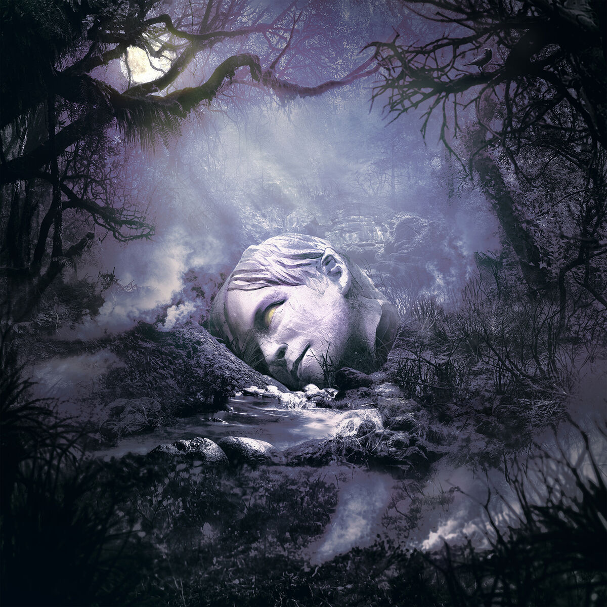 Album cover of SZNZ: Autumn