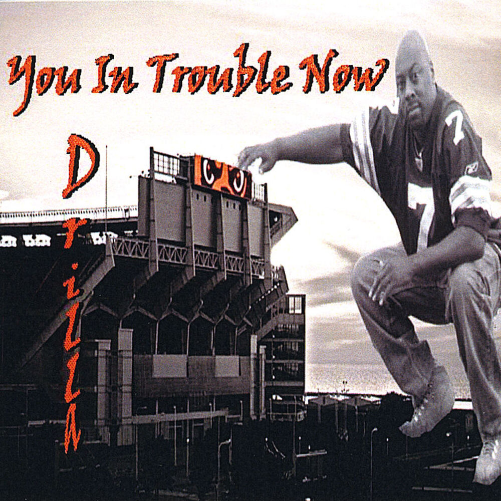 Picture of You In Trouble Now