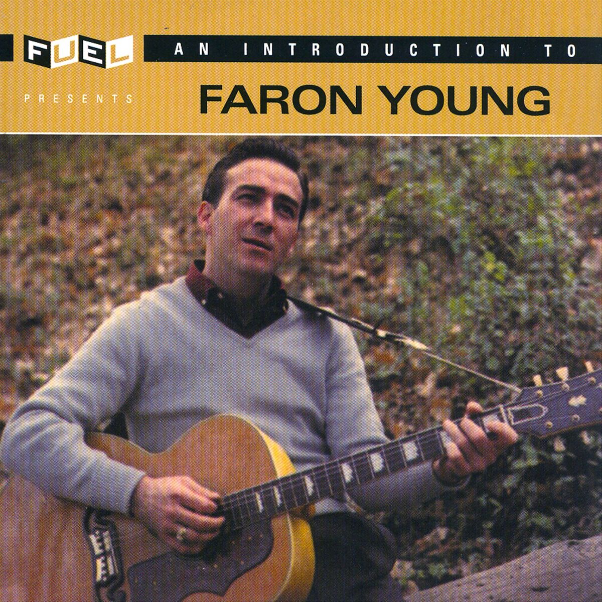 Album cover of An Introduction To Faron Young