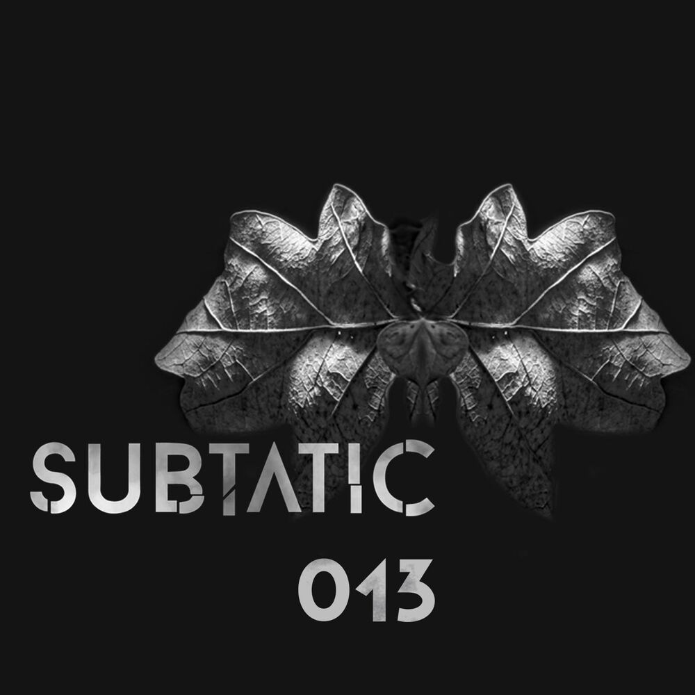 Picture of Subtatic 013