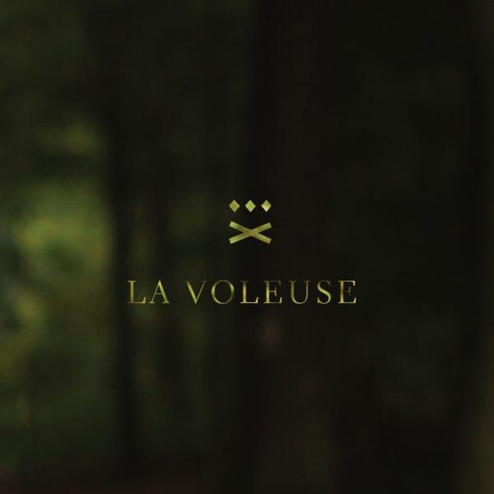 Picture of La voleuse