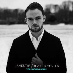 Cover of Butterflies (Toby Romeo Remix)