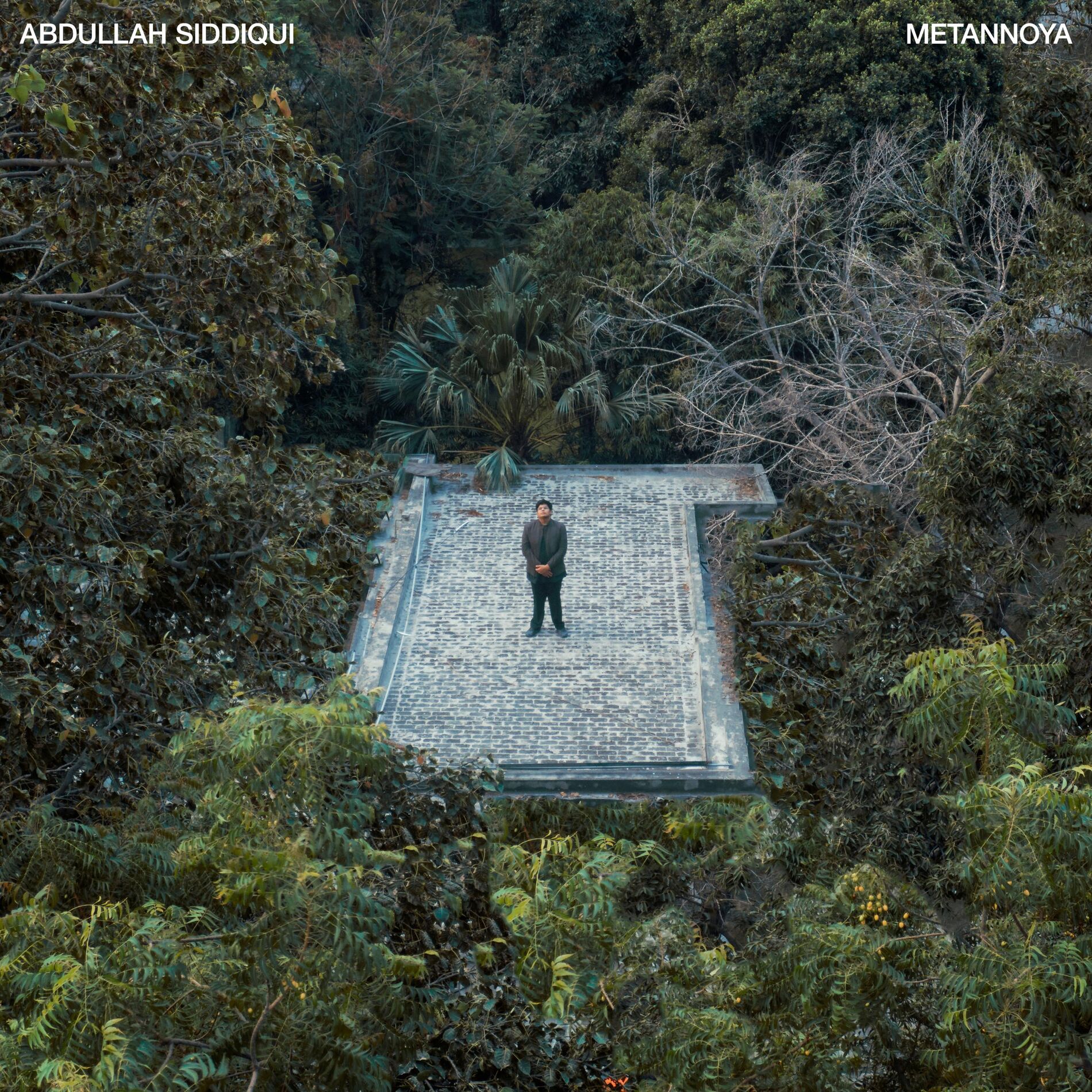 Album cover of Metannoya