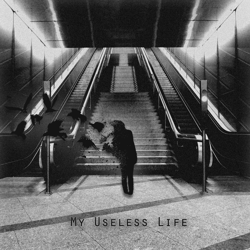 Picture of My Useless Life