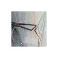 Fracture