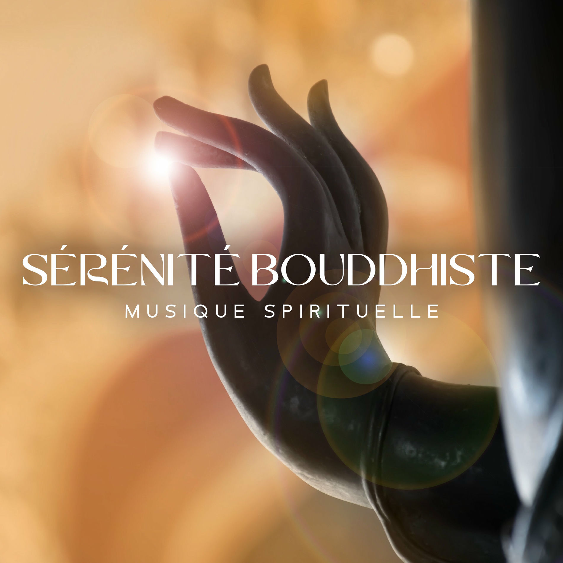 Album cover of Sérénité bouddhiste (Musique spirituelle pour mantras et méditation profonde, bols chantants et moines tibétains)
