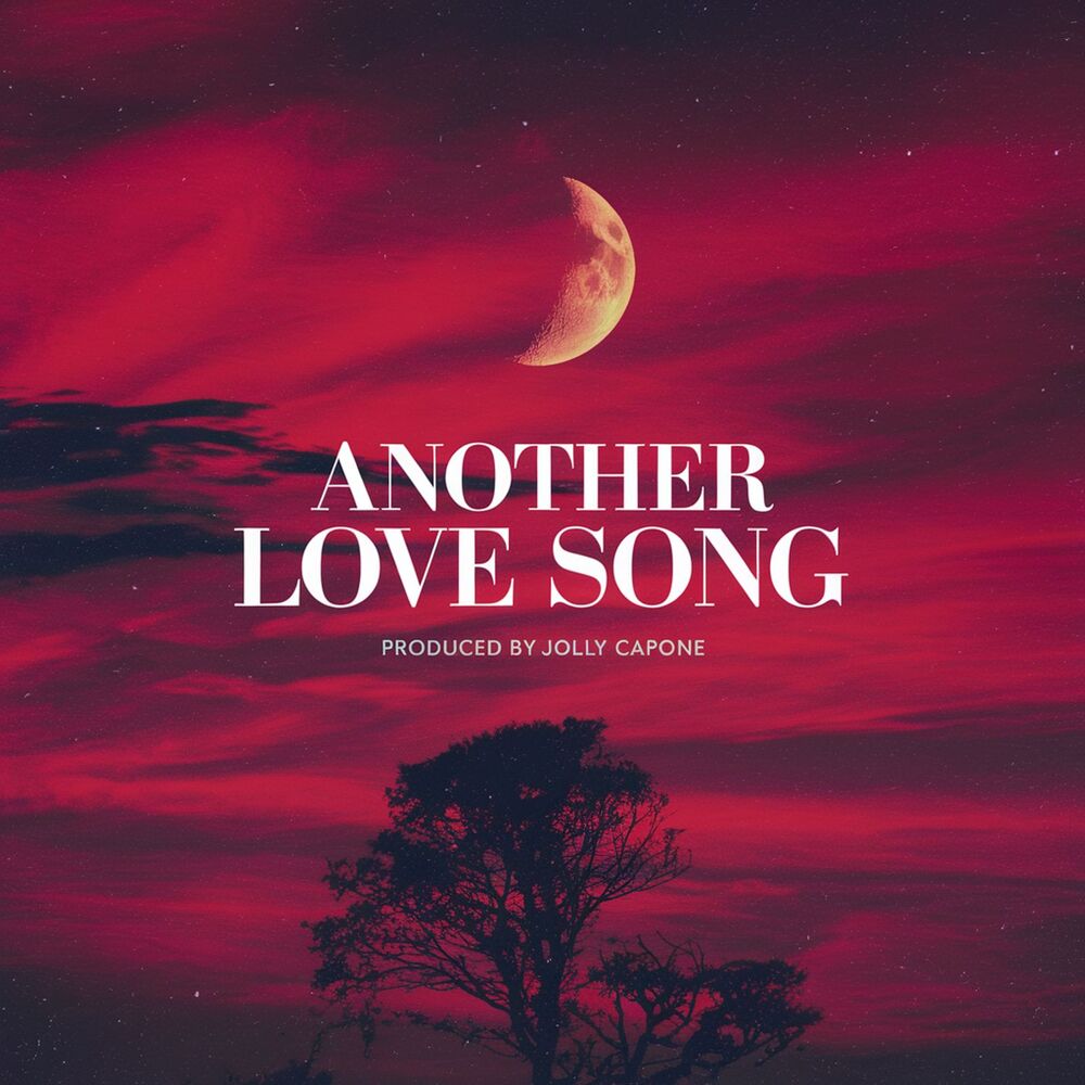 Picture of Another Love Song