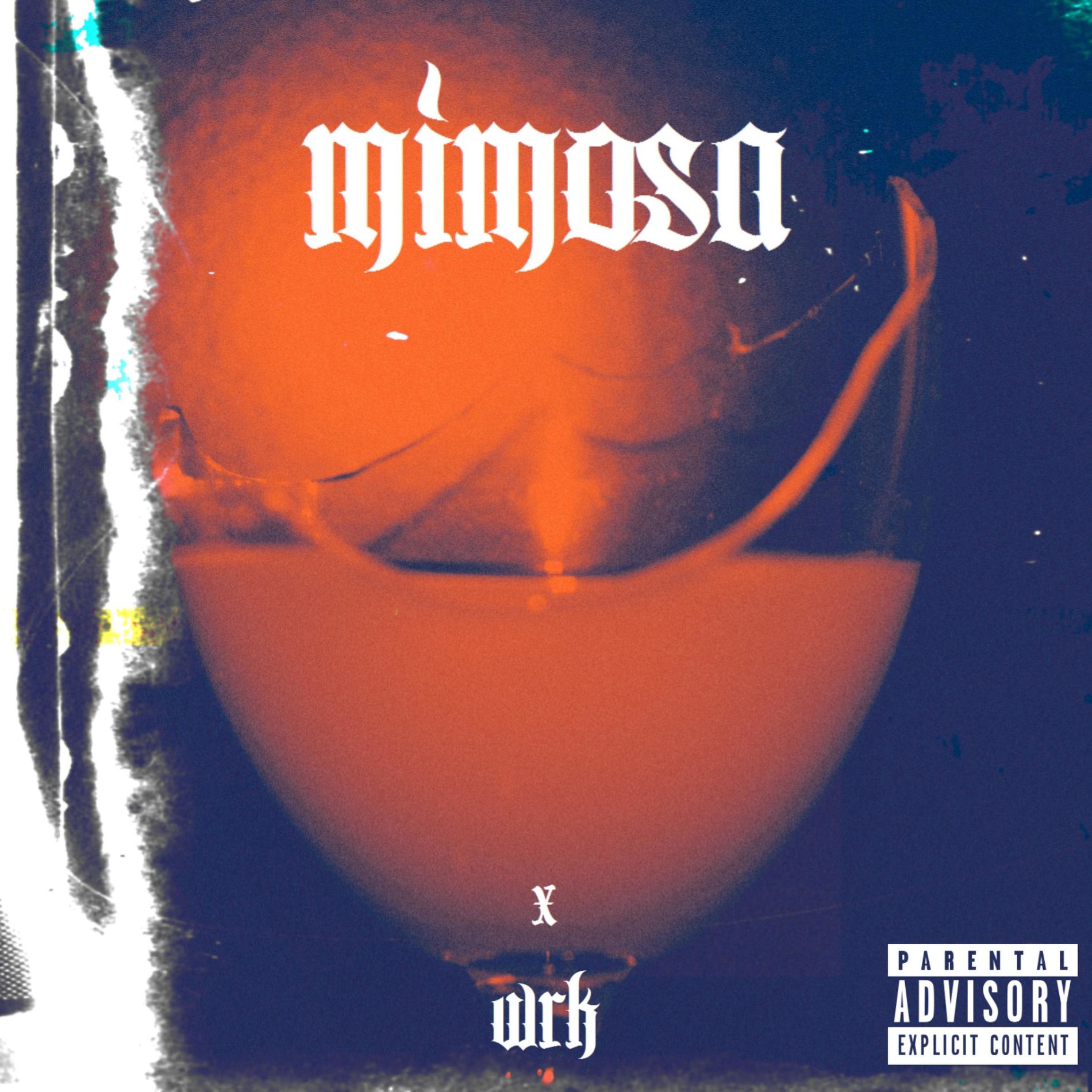 Album cover of Mimosa (feat. WRK)