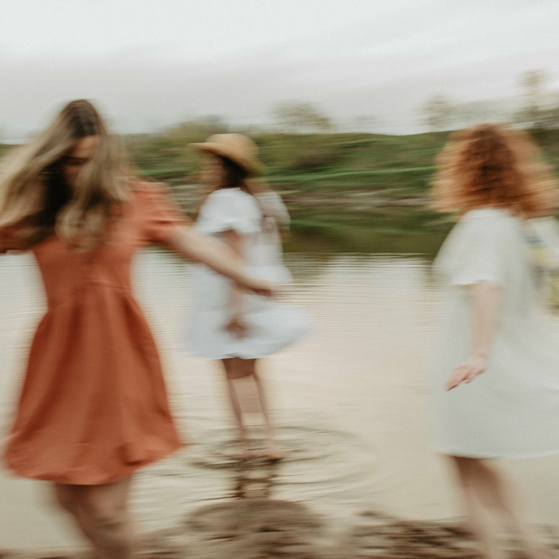 Album cover of Rose des vents