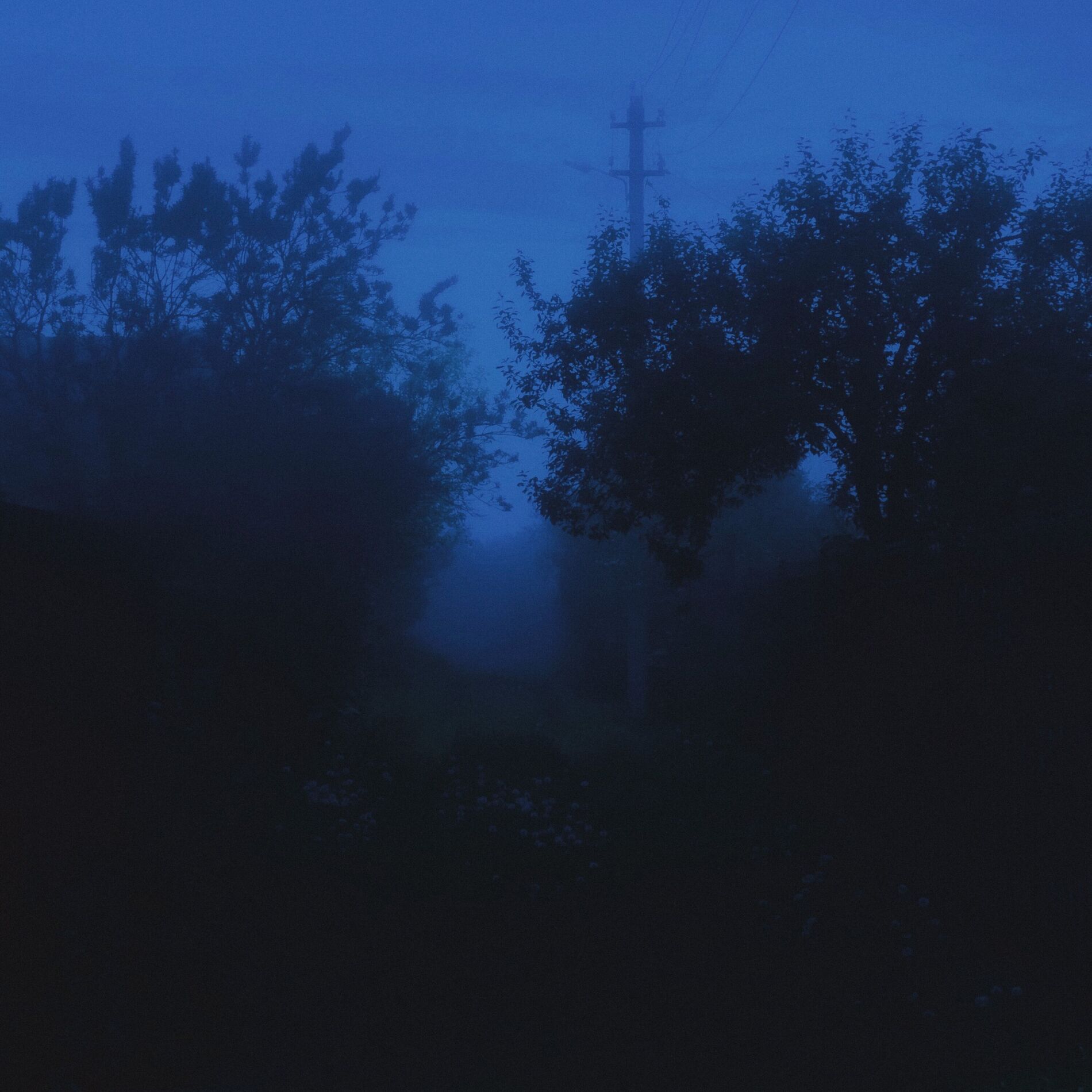 Album cover of neverending