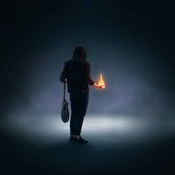 Cover of Playing With Fire