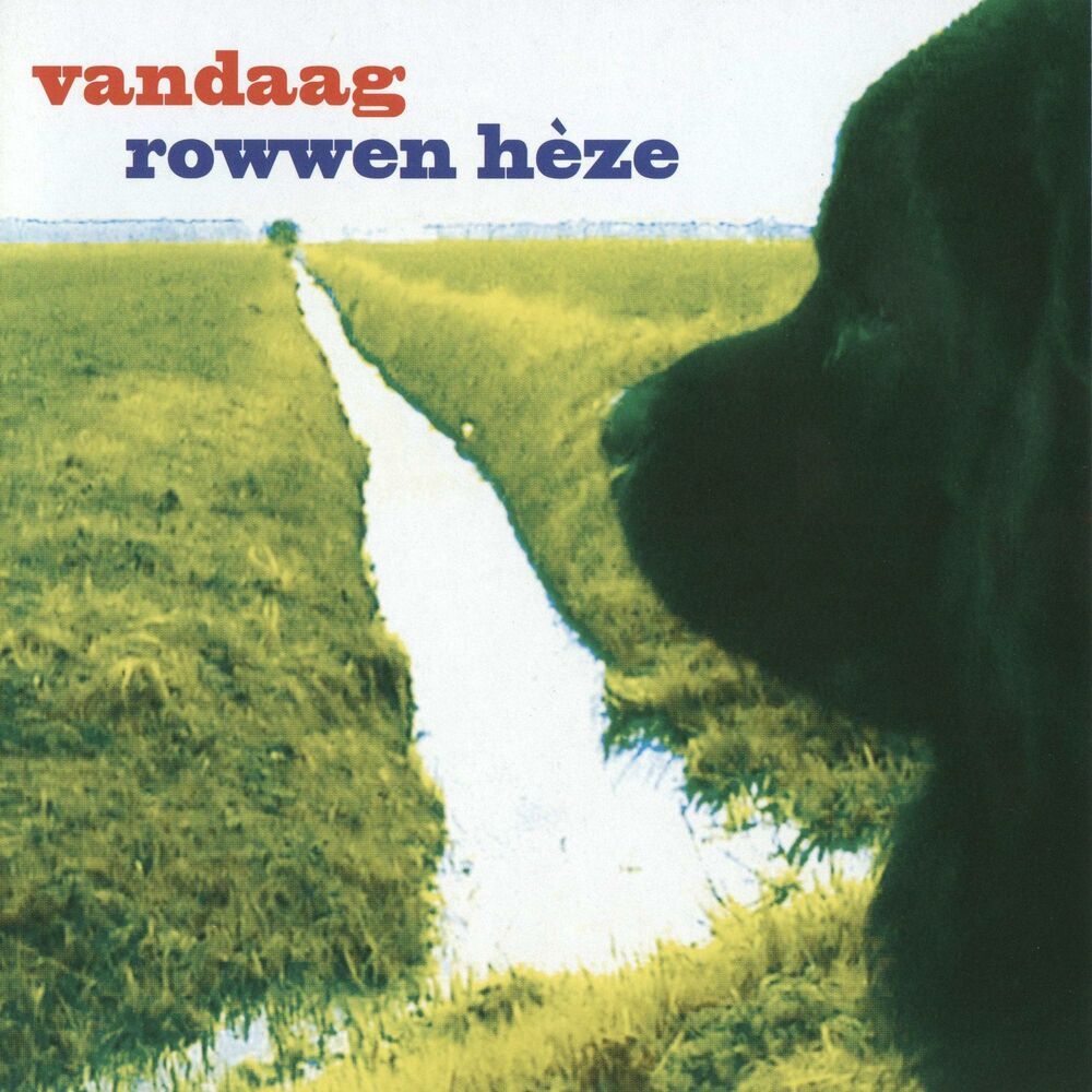 Picture of Vandaag