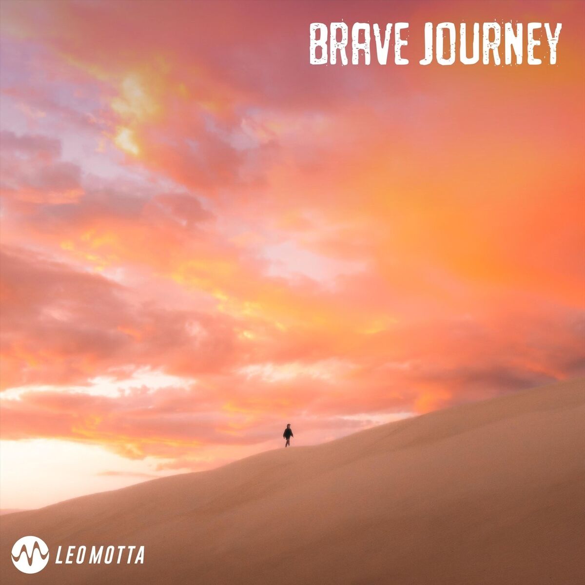Album cover of Brave Journey