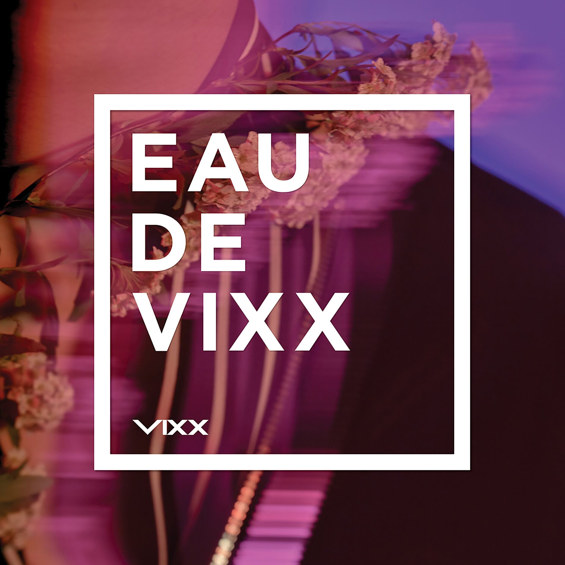 Album cover of EAU DE VIXX