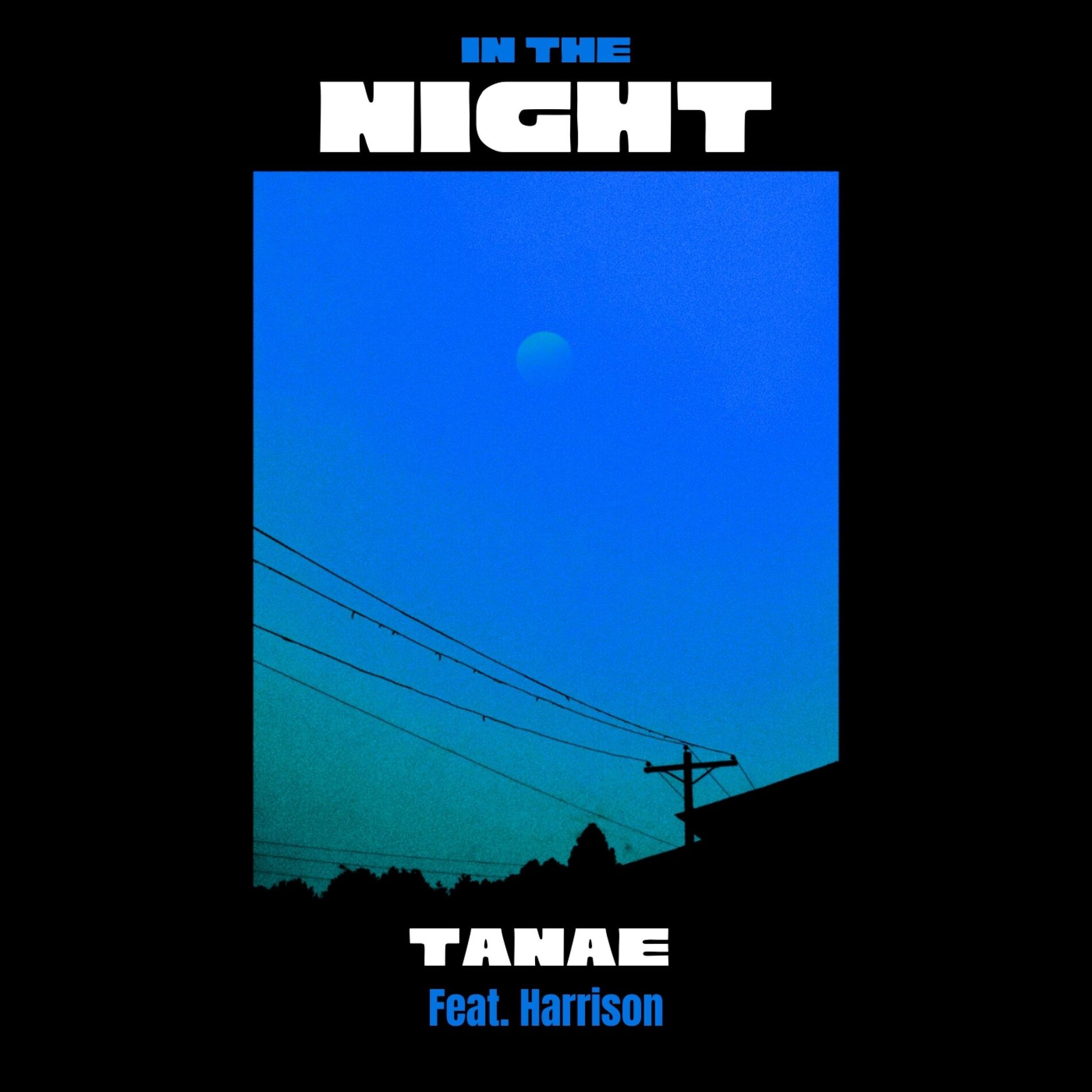 Album cover of In The Night (feat. Harrison)