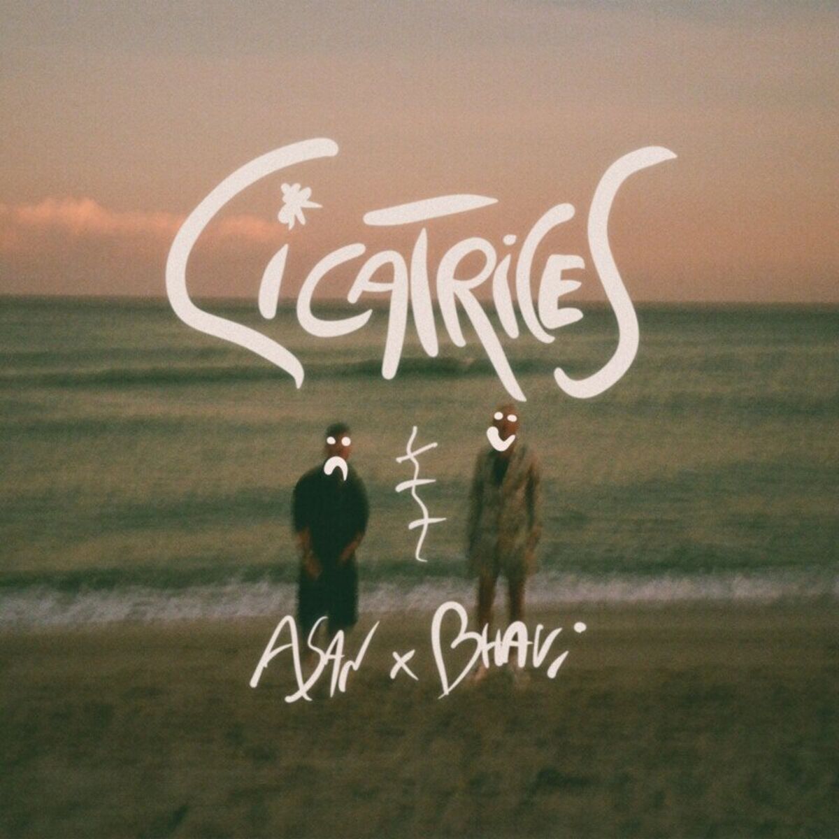 Album cover of Cicatrices