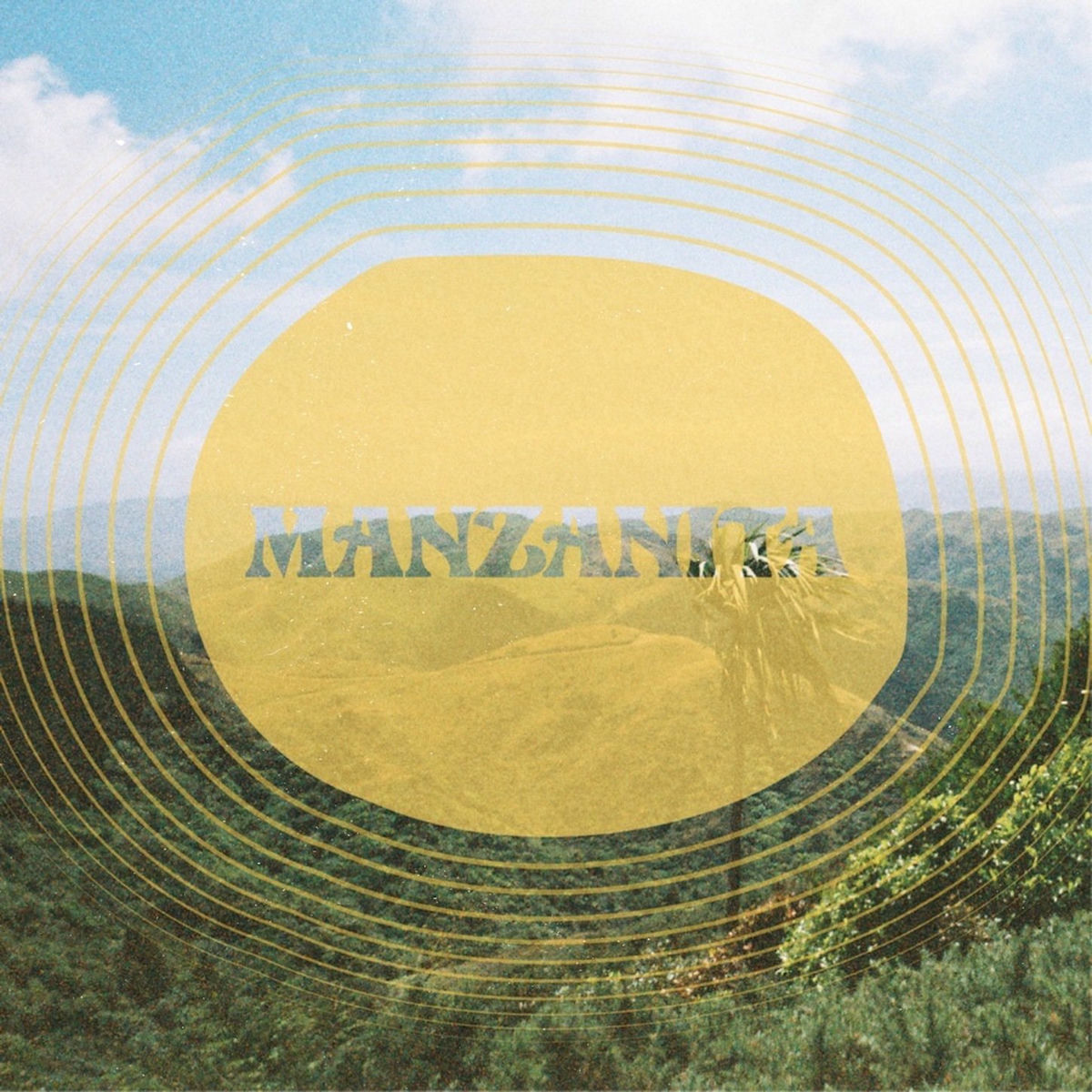 Album cover of Manzanita