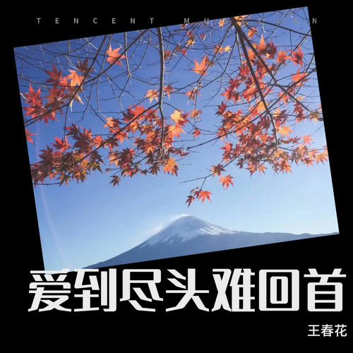 爱到尽头难回首