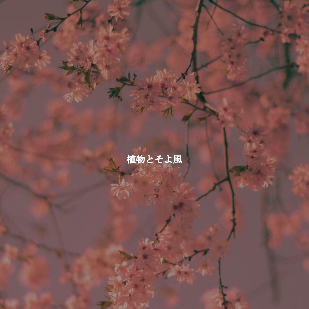 Picture of 植物とそよ風