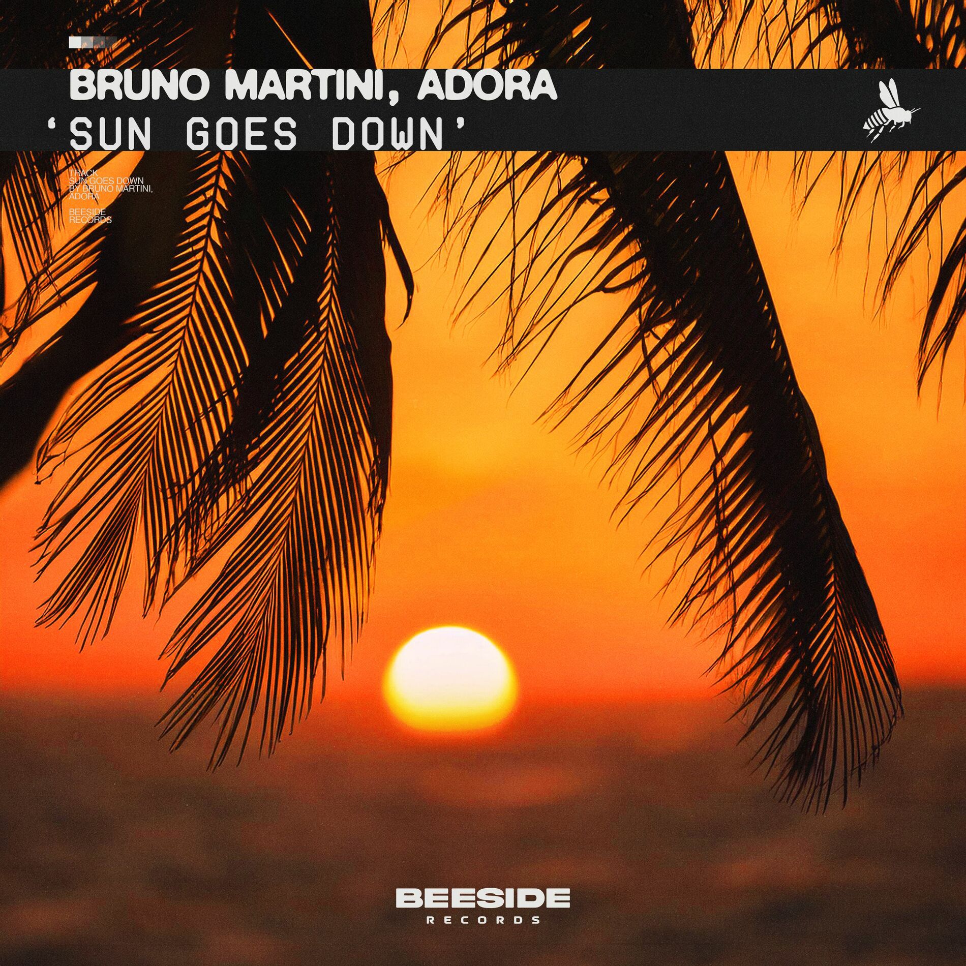Album cover of Sun Goes Down