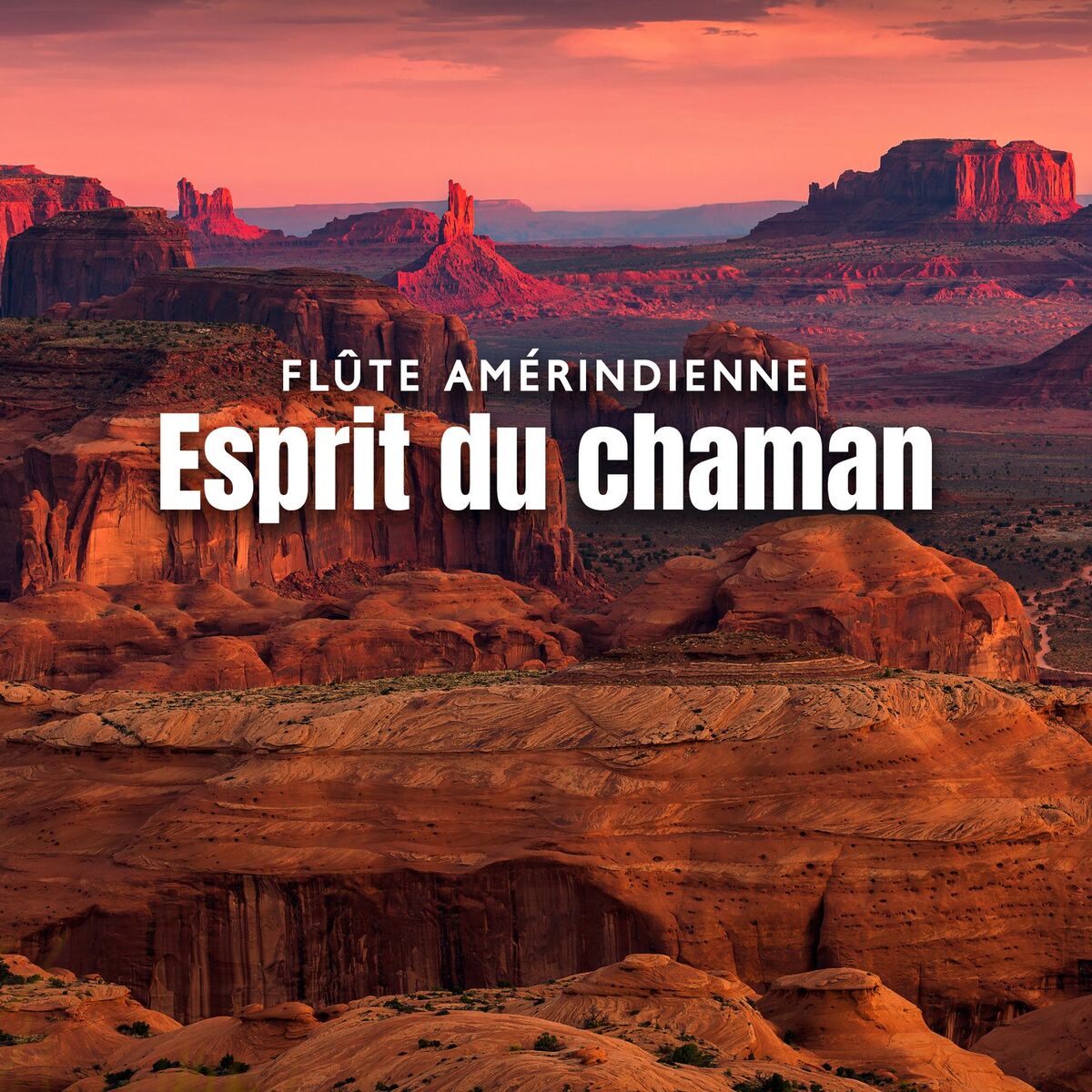 Album cover of Flûte amérindienne: Esprit du chaman, Flute de pan pour détente, Relaxation et bien-être, Musique indienne