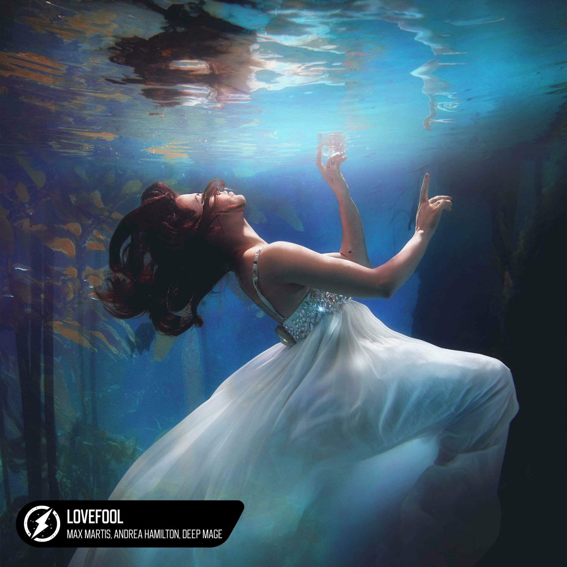 Album cover of Lovefool