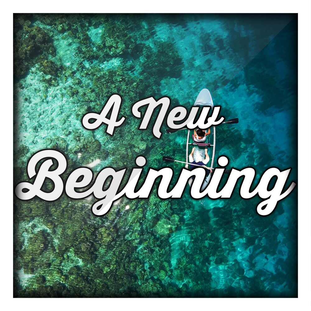Picture of A New Beginning