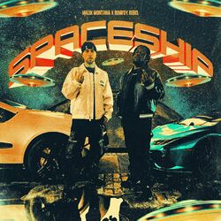 Cover of Spaceship