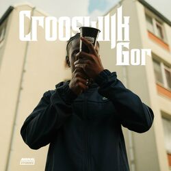 Cover of Crooswijk