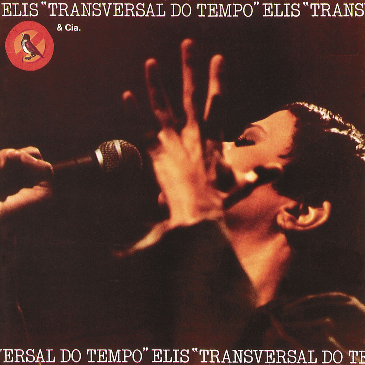 Album cover of Transversal Do Tempo