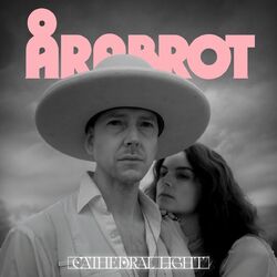 Cover of Cathedral Light