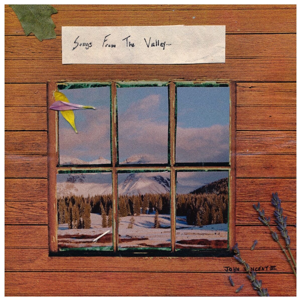 Album cover of Next to You