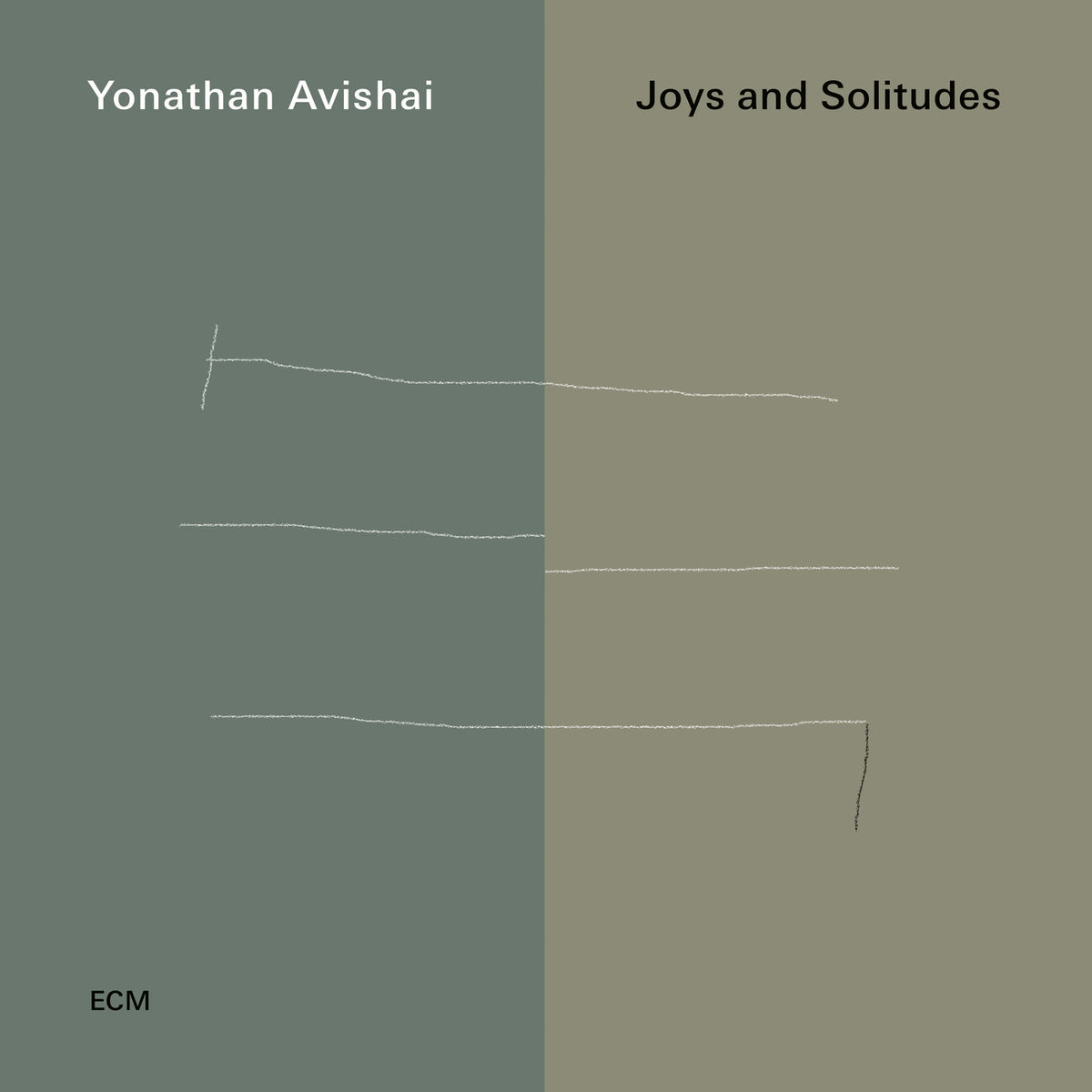 Album cover of Joys And Solitudes