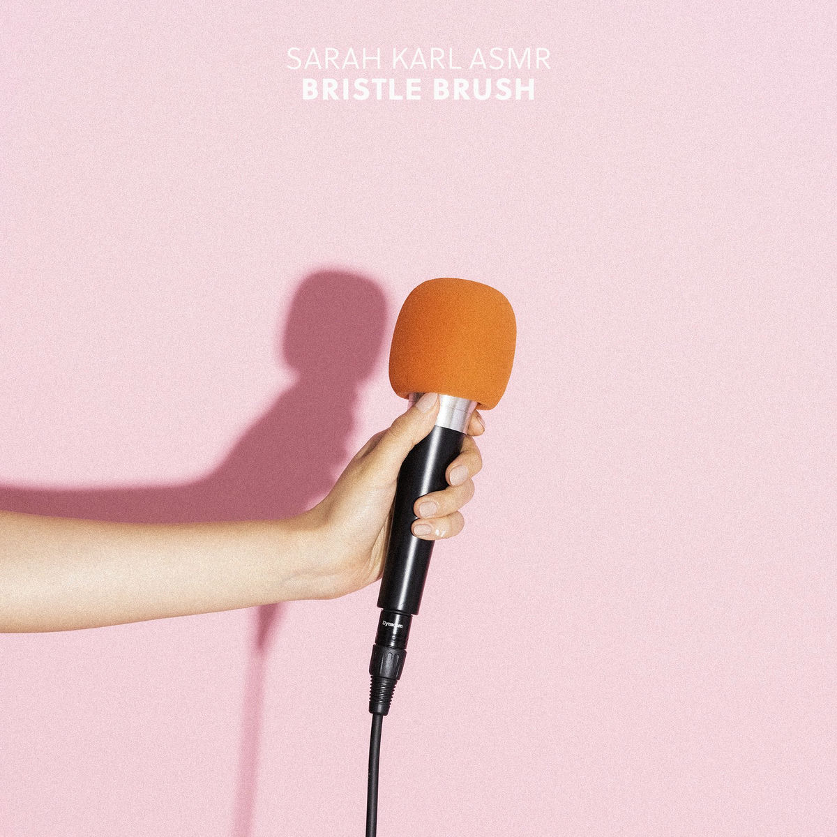 Album cover of Bristle Brush