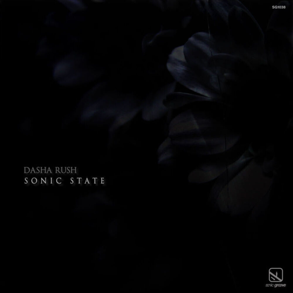 Picture of Sonic State