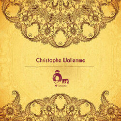 Cover of Ôm Project